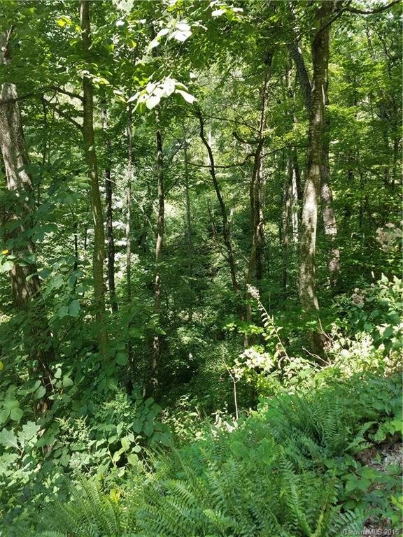 Property image 4 at 57 Dream Mountain Boulevard, Canton, NC 28716