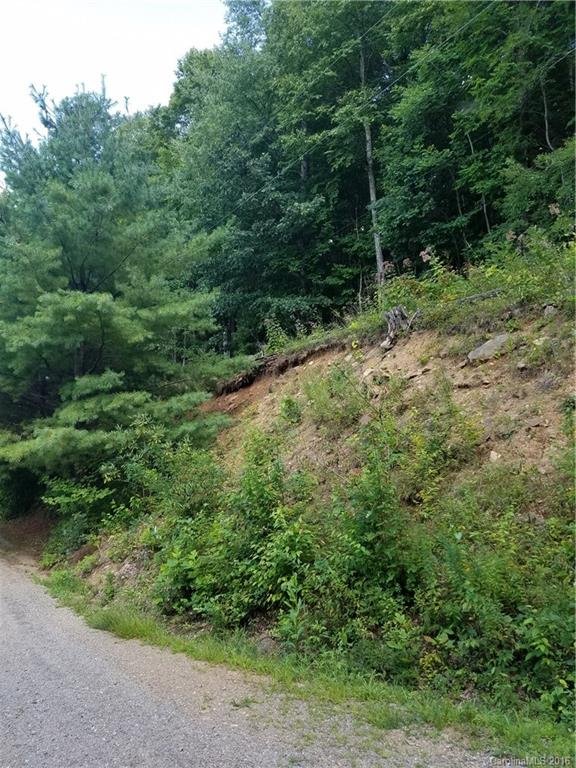 Property image 3 at 0 Meadows Road, Canton, NC 28716