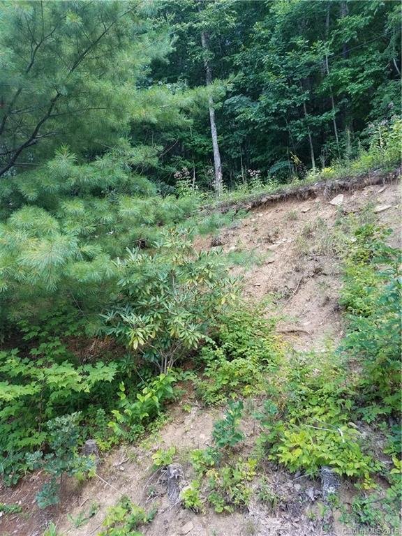 Property image 4 at 0 Meadows Road, Canton, NC 28716