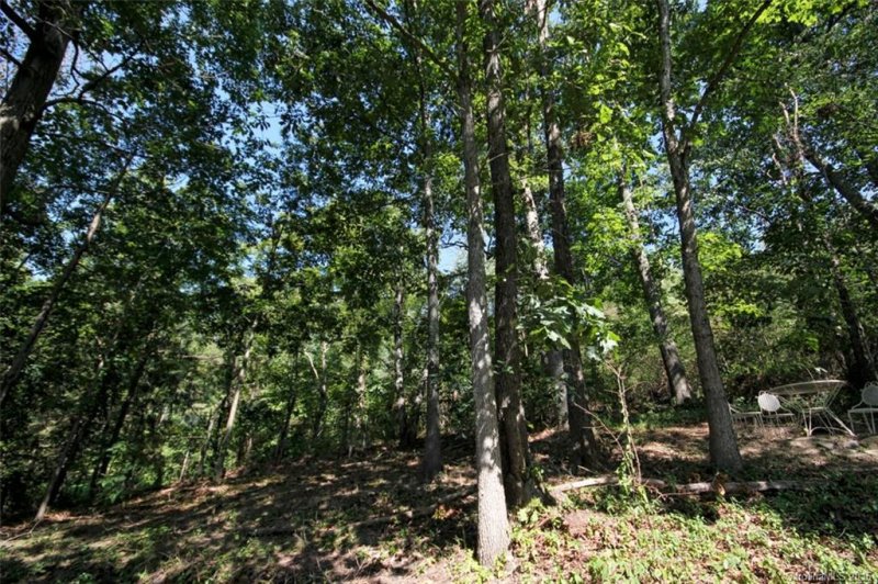 Property image 3 at 45 Lower Barton Road, Asheville, NC 28804