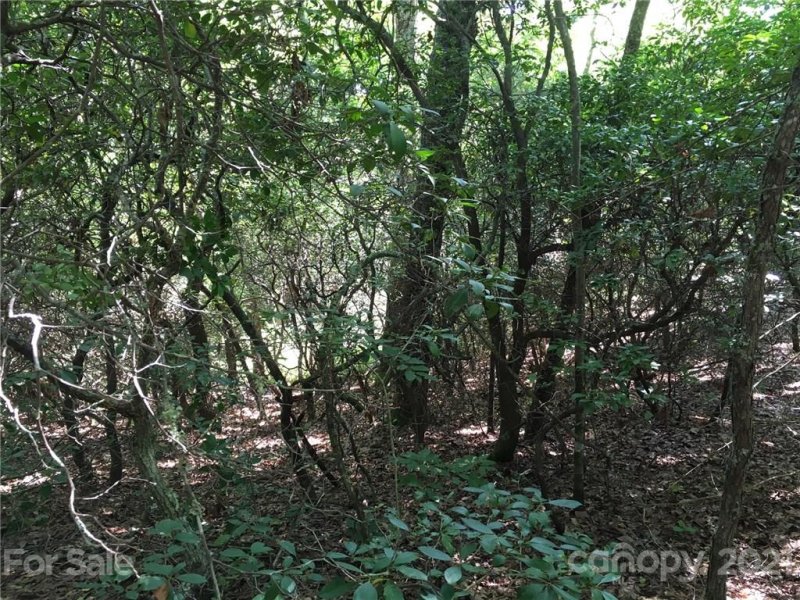 Property image 2 at M95 Hawks Crest, Brevard, NC 28712