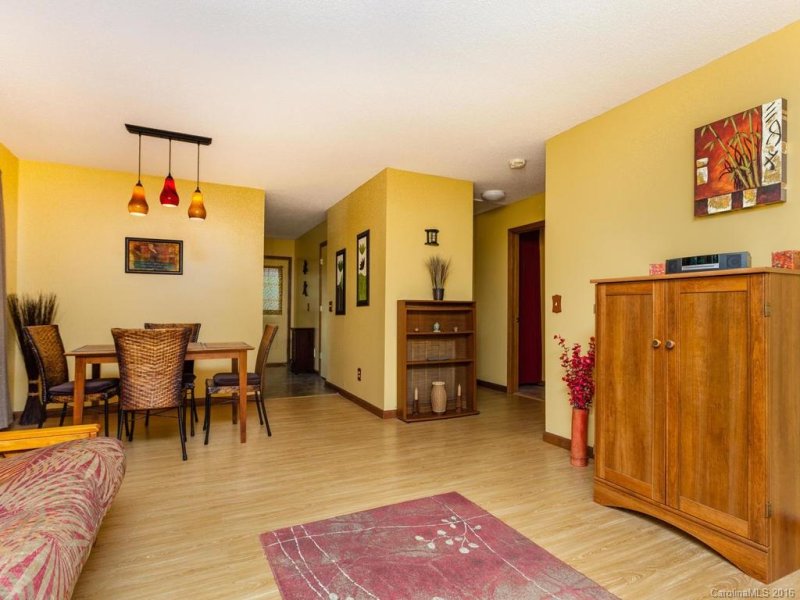 Property image 4 at 22 Wilson Creek Drive, Asheville, NC 28803