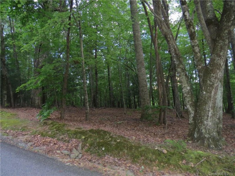 Property image 4 at L 27 Spanish Oak Drive, Cedar Mountain, NC 28718