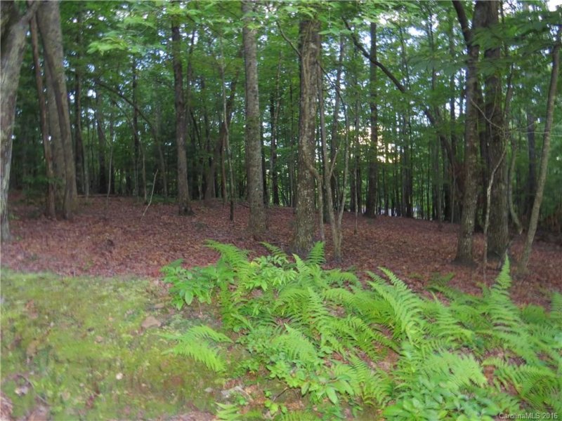 Property image 5 at L 27 Spanish Oak Drive, Cedar Mountain, NC 28718