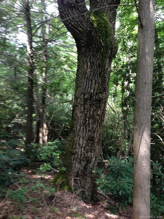 Property image 3 at 1215 Bee Tree Road, Swannanoa, NC 28778