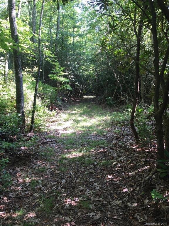 Property image 2 at Tbd Galax Lane, Brevard, NC 28712