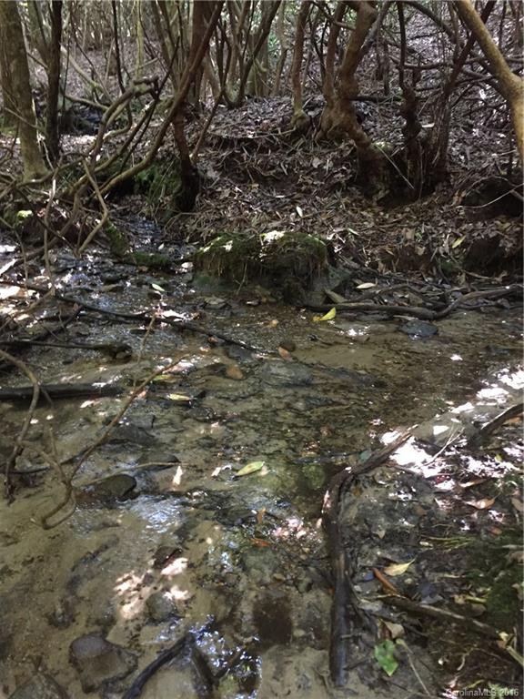 Property image 3 at Tbd Galax Lane, Brevard, NC 28712