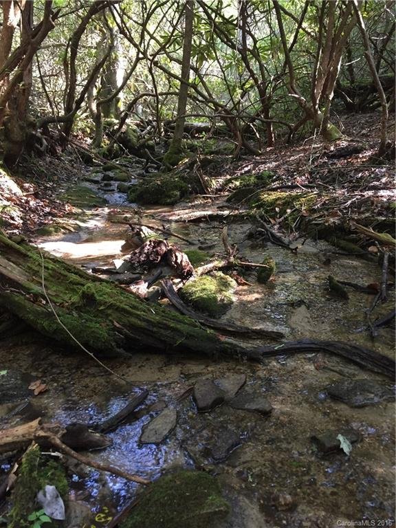 Property image 4 at Tbd Galax Lane, Brevard, NC 28712