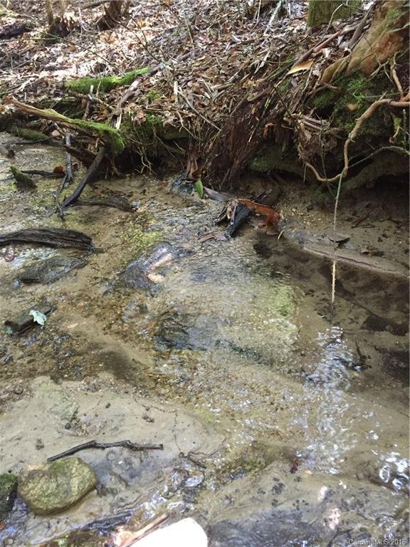 Property image 5 at Tbd Galax Lane, Brevard, NC 28712