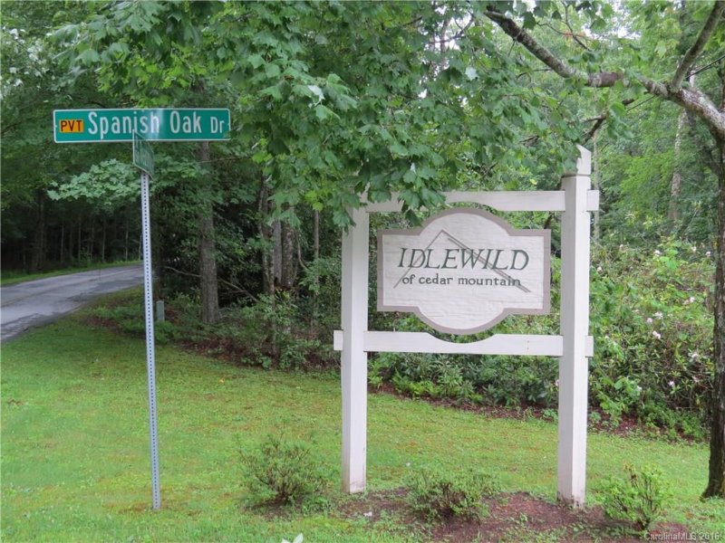 Property image 2 at L10 Spanish Oak Drive, Cedar Mountain, NC 28718