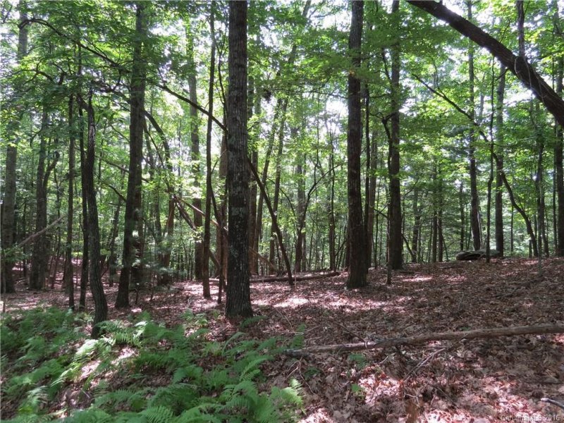 Property image 4 at L10 Spanish Oak Drive, Cedar Mountain, NC 28718