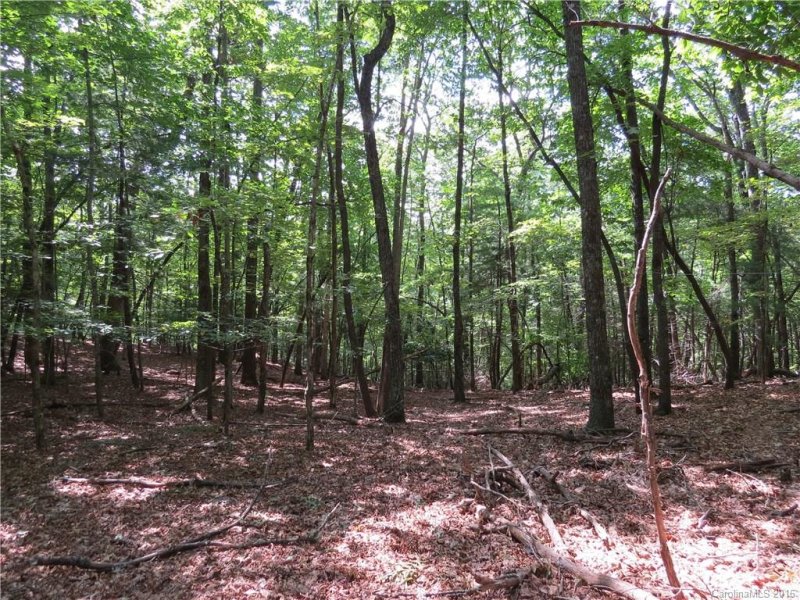 Property image 5 at L10 Spanish Oak Drive, Cedar Mountain, NC 28718