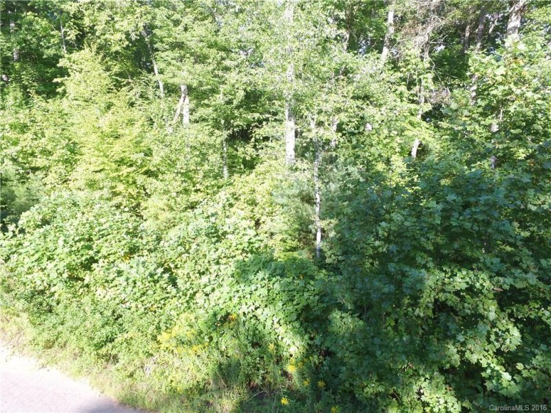 Property image 2 at 137 Oak Mountain Drive, Leicester, NC 28748