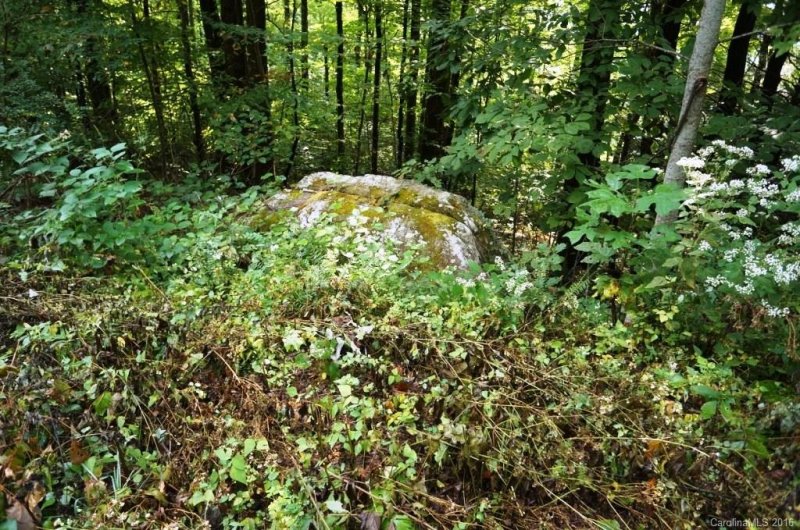 Property image 2 at Lot 43 Eastatoe Gap Road, Rosman, NC 28772