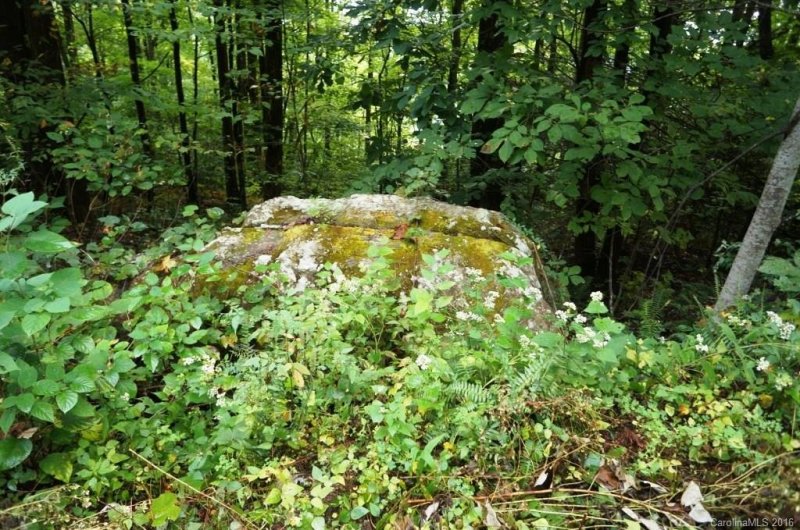 Property image 3 at Lot 43 Eastatoe Gap Road, Rosman, NC 28772