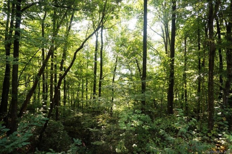 Property image 5 at Lot 43 Eastatoe Gap Road, Rosman, NC 28772