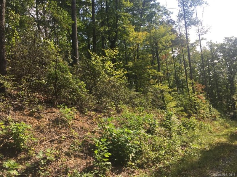 Property image 2 at 9999 Lower Flat Creek Road, Black Mountain, NC 28711