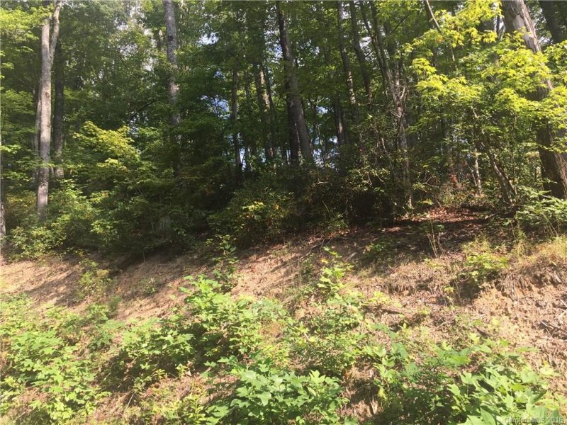 Property image 3 at 9999 Lower Flat Creek Road, Black Mountain, NC 28711