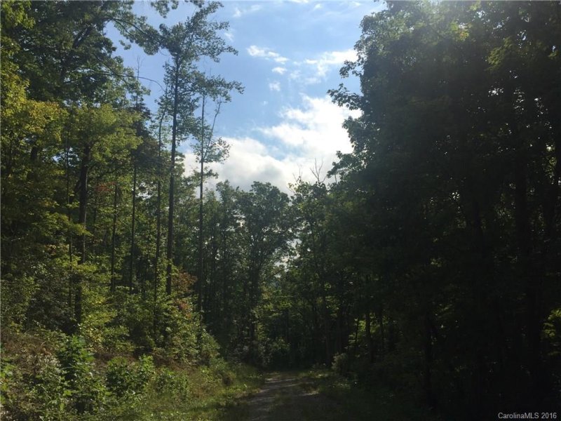 Property image 5 at 9999 Lower Flat Creek Road, Black Mountain, NC 28711