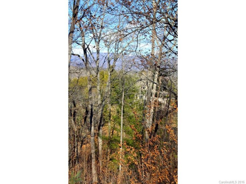 Property image 4 at 65 Bradford Vistas None, Fletcher, NC 28732