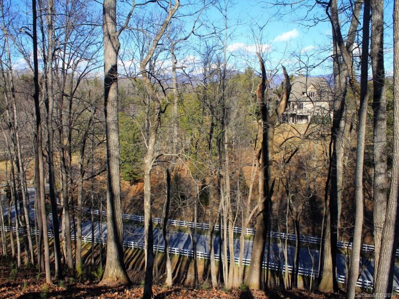 Property image 5 at 65 Bradford Vistas None, Fletcher, NC 28732