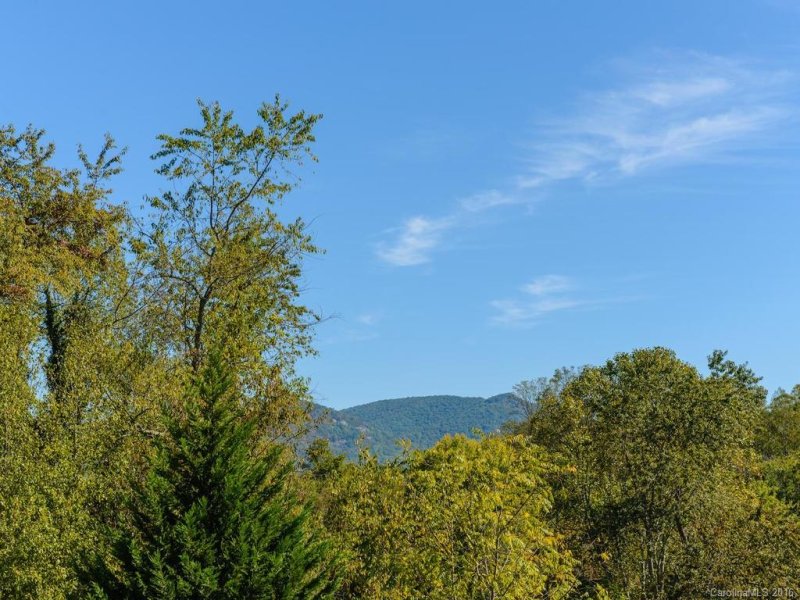 Property image 4 at 11 Wilson Creek Drive, Asheville, NC 28803