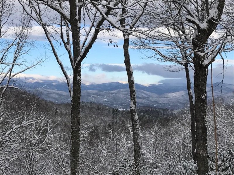 Property image 2 at 366 E Falls View Drive, Pisgah Forest, NC 28768