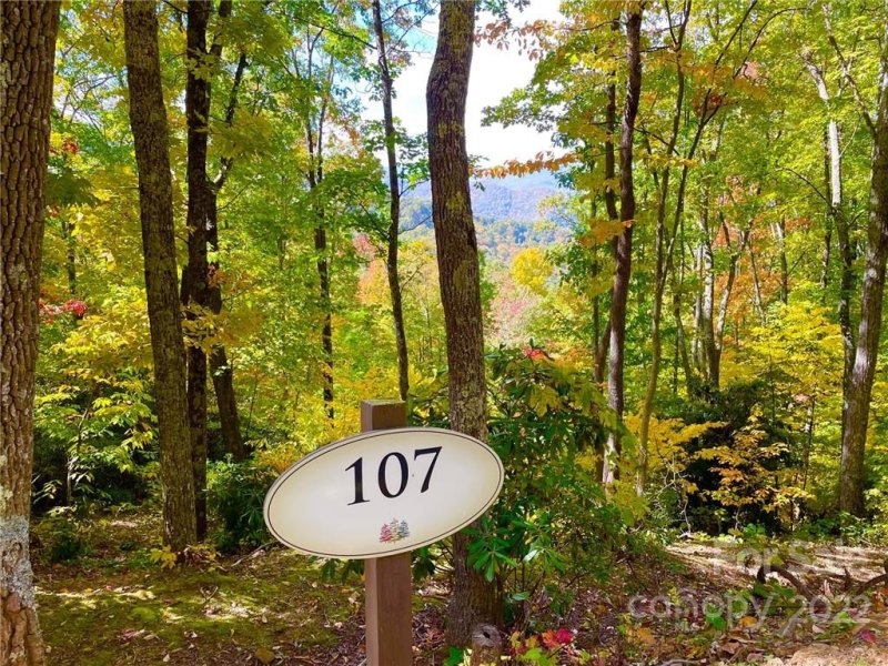 Property image 3 at 0 Macallan Drive, Waynesville, NC 28786