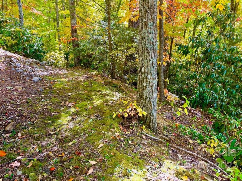 Property image 5 at 0 Macallan Drive, Waynesville, NC 28786