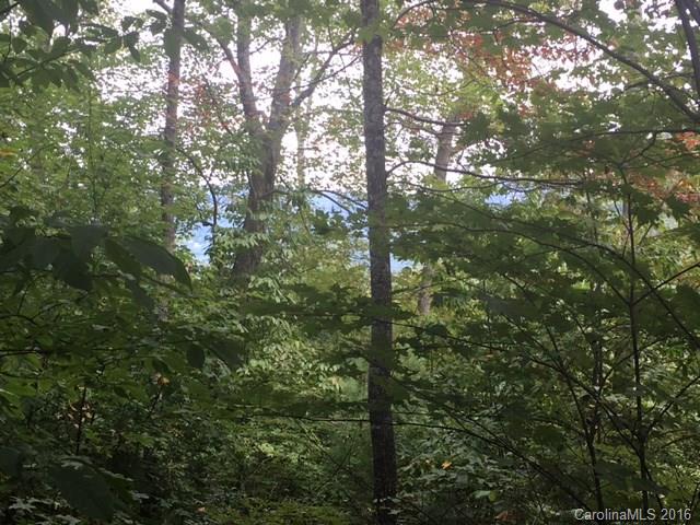 Property image 4 at 126 Majestic Ridge Drive, Hendersonville, NC 28792