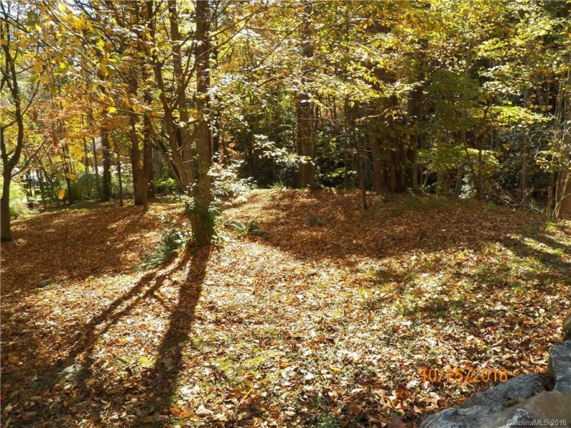 Property image 2 at 00 Creekside Drive, Maggie Valley, NC 28751