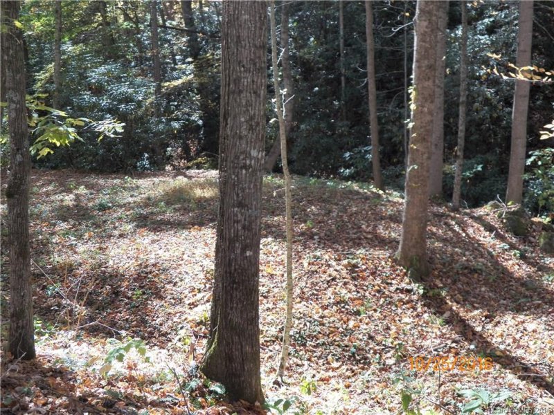 Property image 4 at 00 Creekside Drive, Maggie Valley, NC 28751