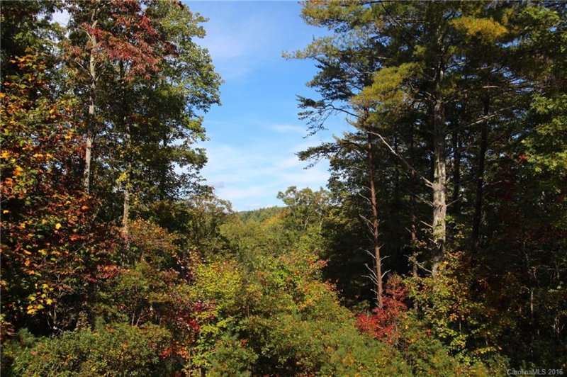 Property image 2 at 54 Oak Laurel Road, Brevard, NC 28712