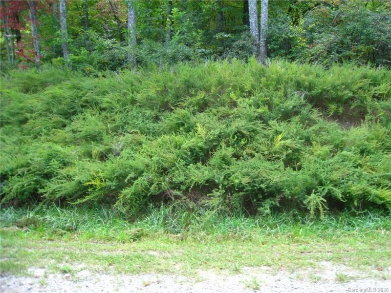 Property image 2 at Lot 318 Rolling Ridge Trail, Lake Lure, NC 28746