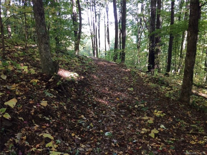 Property image 2 at 0 St Andrews Drive, Waynesville, NC 28786