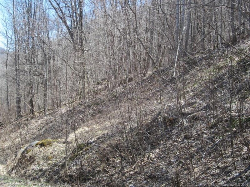 Property image 5 at 00 Bear Ridge Road, Bakersville, NC 28705