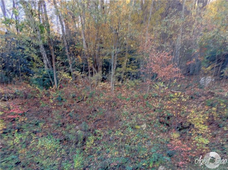 Property image 2 at 534 Kendal Drive, Leicester, NC 28748