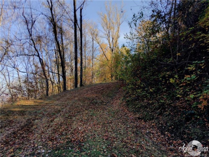 Property image 3 at 534 Kendal Drive, Leicester, NC 28748