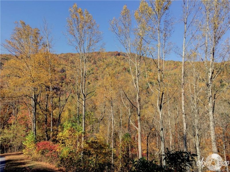 Property image 4 at 534 Kendal Drive, Leicester, NC 28748