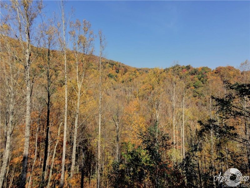 Property image 5 at 534 Kendal Drive, Leicester, NC 28748