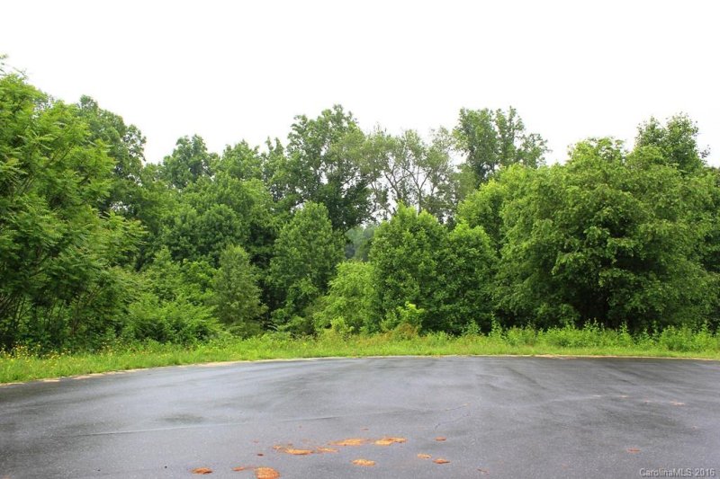 Property image 2 at Lot 40 Creekside Drive, Lincolnton, NC 28092