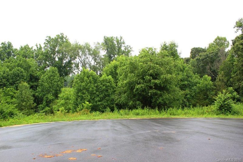 Property image 3 at Lot 40 Creekside Drive, Lincolnton, NC 28092