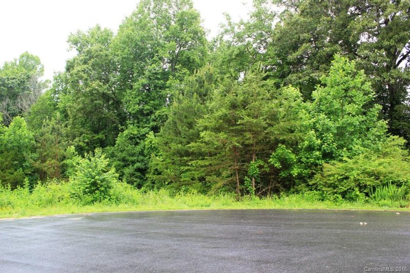 Property image 4 at Lot 40 Creekside Drive, Lincolnton, NC 28092