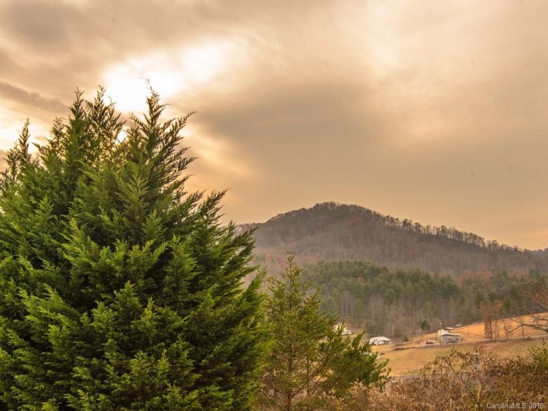 Property image 2 at 55 Farmstead Road, Leicester, NC 28748