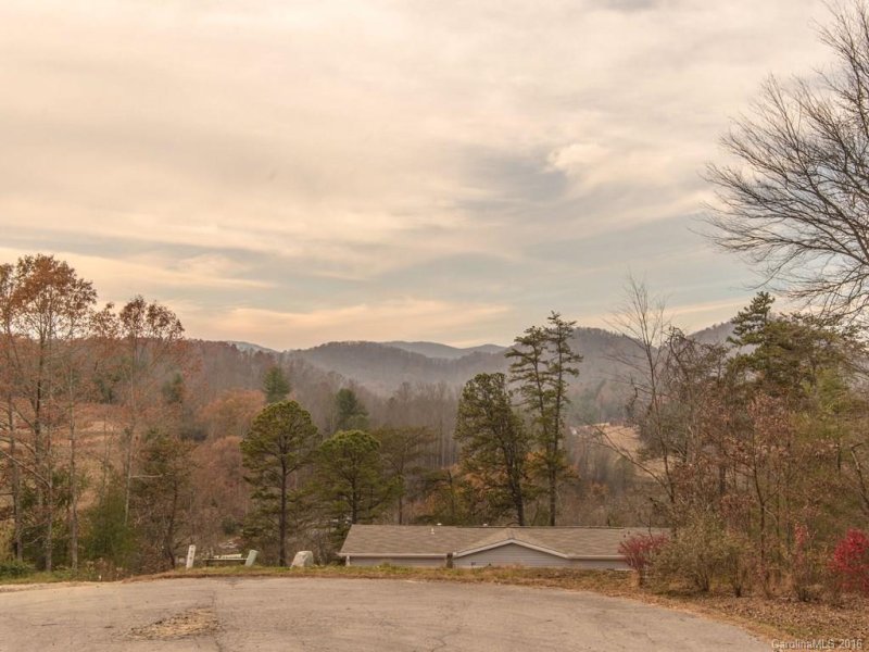 Property image 3 at 55 Farmstead Road, Leicester, NC 28748