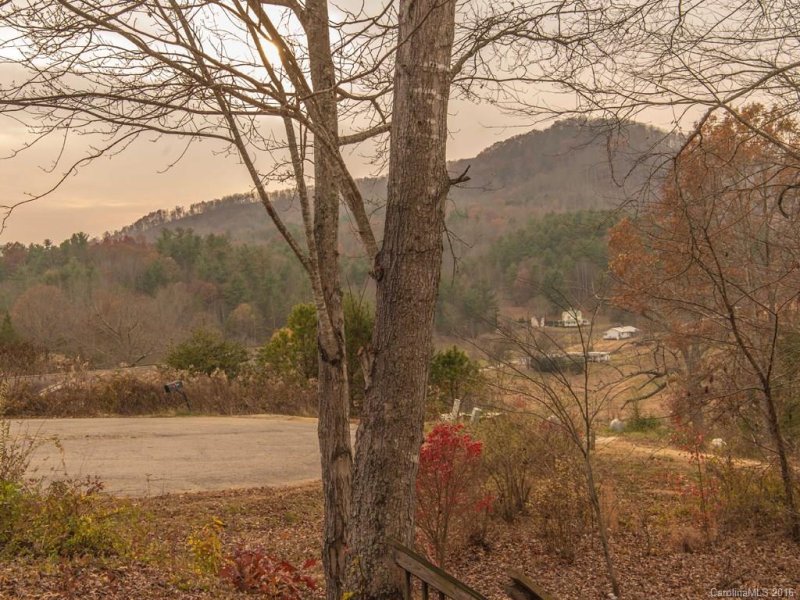 Property image 5 at 55 Farmstead Road, Leicester, NC 28748