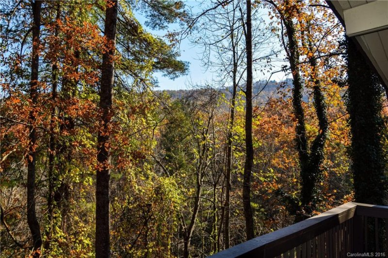 Property image 2 at 93 Foster Hill Drive, Hendersonville, NC 28739