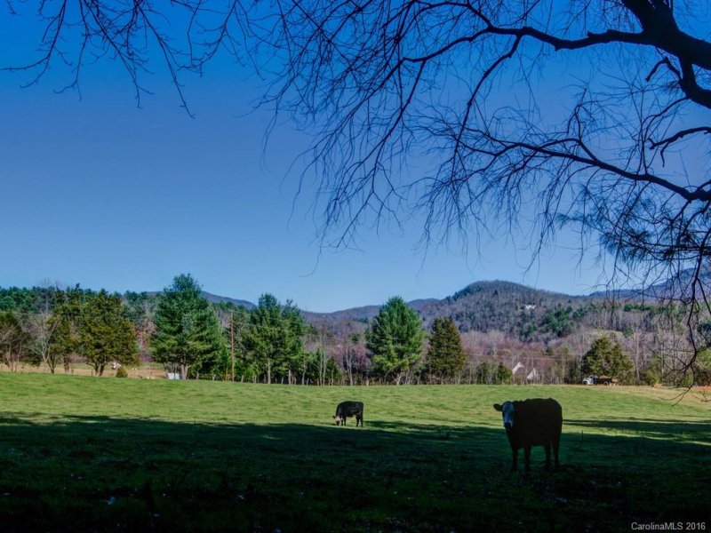 Property image 5 at Lot 7 Cane Creek Road, Fletcher, NC 28732