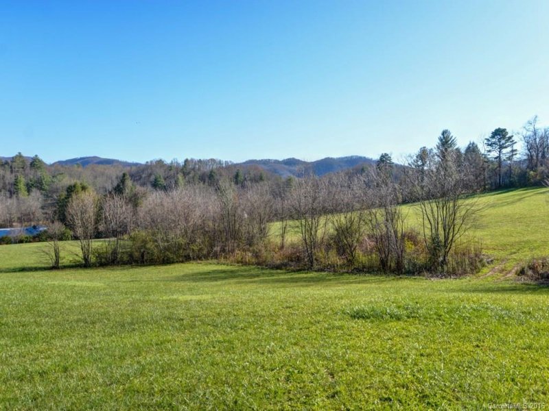 Property image 3 at Lot 2 Cane Creek Road, Fletcher, NC 28732