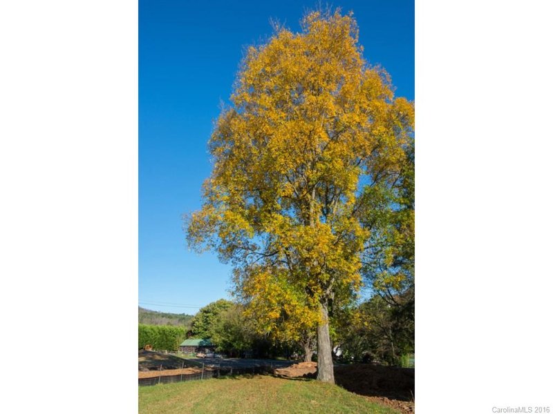 Property image 5 at Lot 2 Cane Creek Road, Fletcher, NC 28732